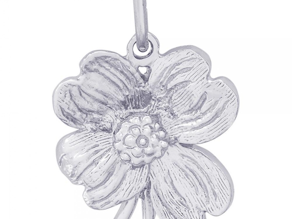 dolce and gabbana dog tag necklace